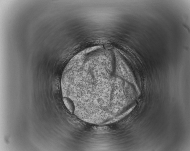 X0000100200517200806201424