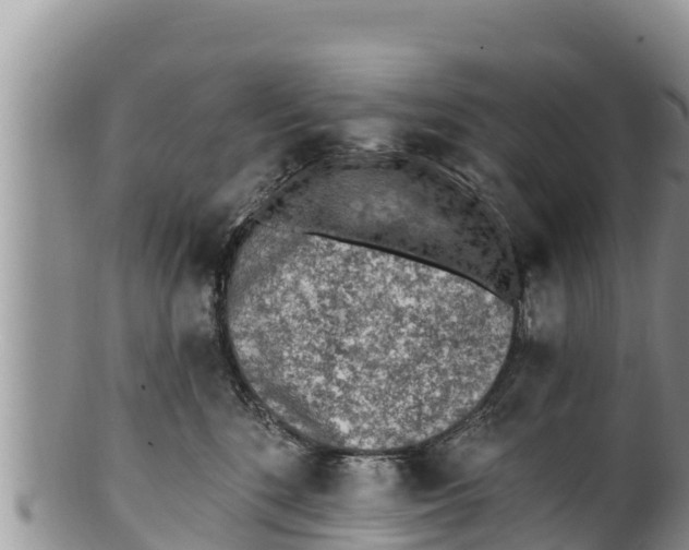 X0000100200520200806201424