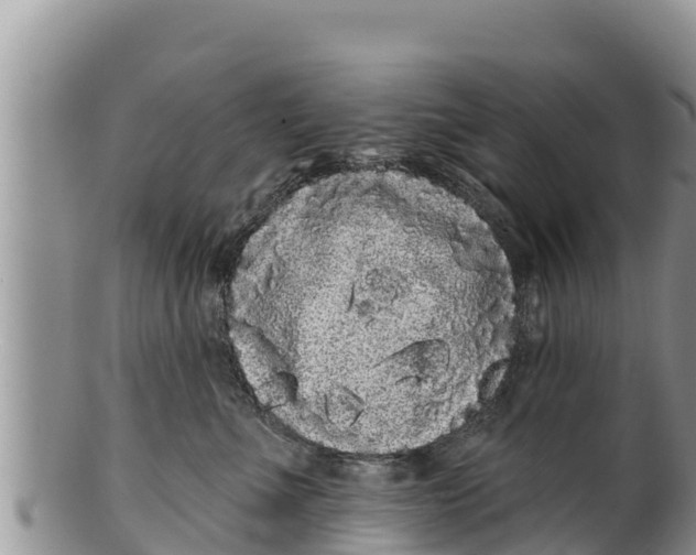 X0000100200523200806201424