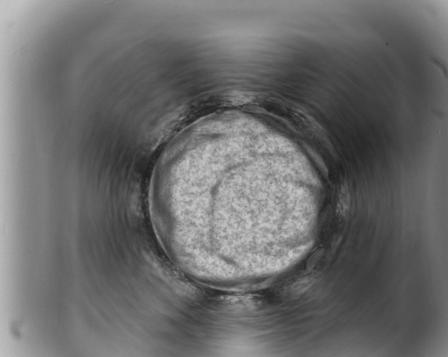 X0000100200524200806201424