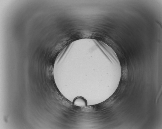 X0000100200525200806201424