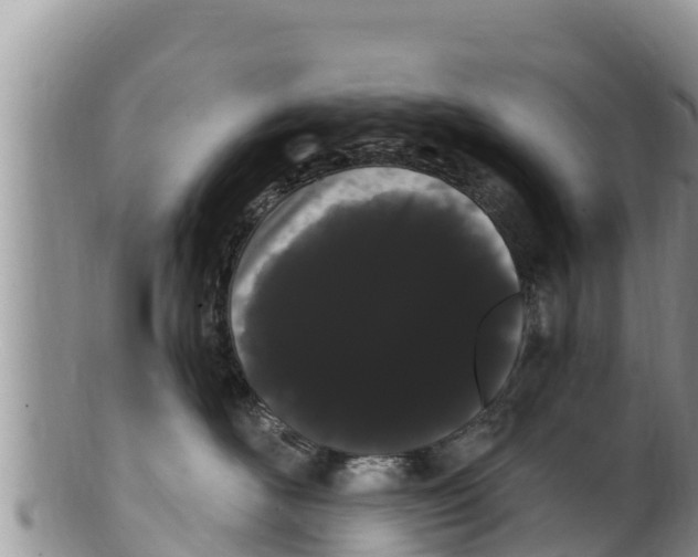 X0000100200526200806201424