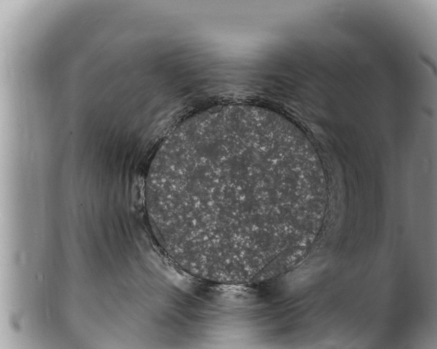 X0000100200528200806201424