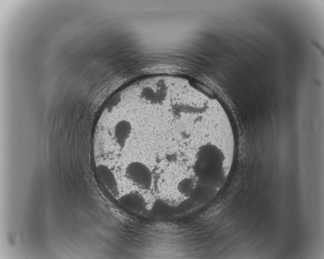 X0000100200529200806201423