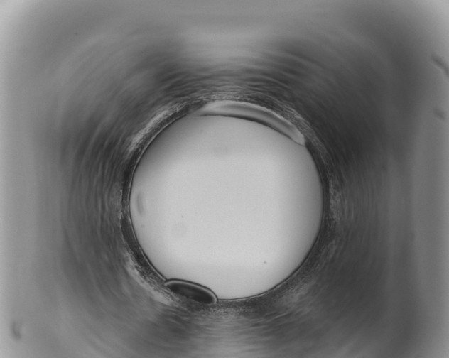 X0000100200530200806201423