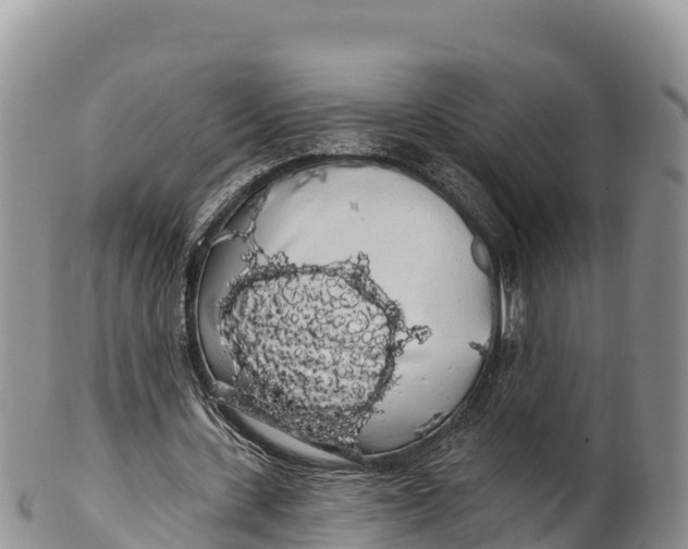 X0000100200531200806201423