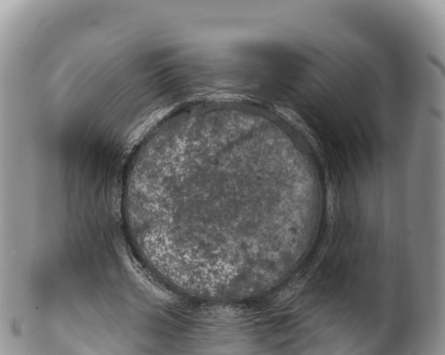 X0000100200533200806201423