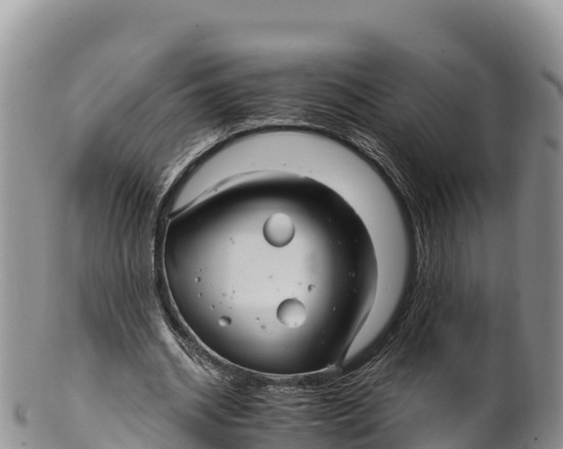 X0000100200534200806201423