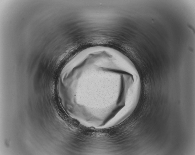 X0000100200539200806201423