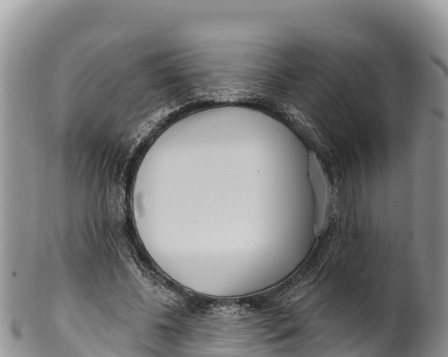 X0000100200540200806201423