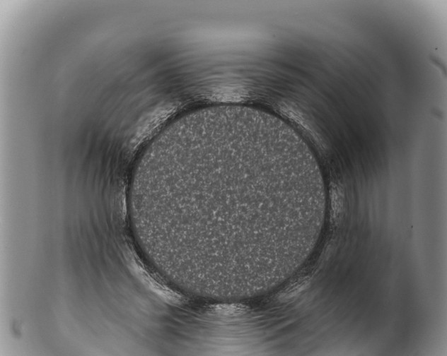 X0000100200541200806201423