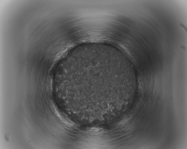 X0000100200542200806201423