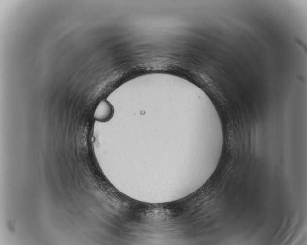 X0000100200543200806201423