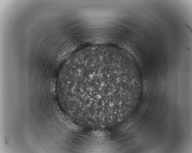 X0000100200545200806201423