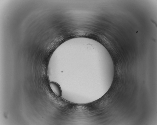 X0000100200546200806201423