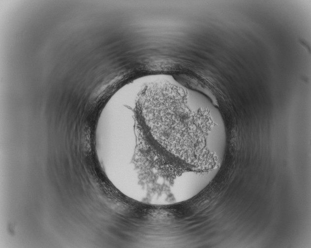 X0000100200547200806201423