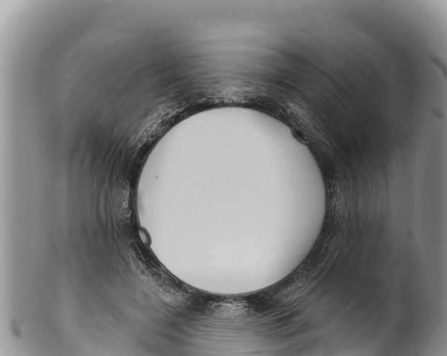 X0000100200548200806201423