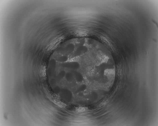 X0000100200549200806201424