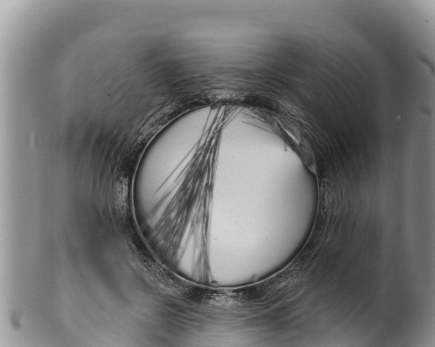 X0000100200550200806201424