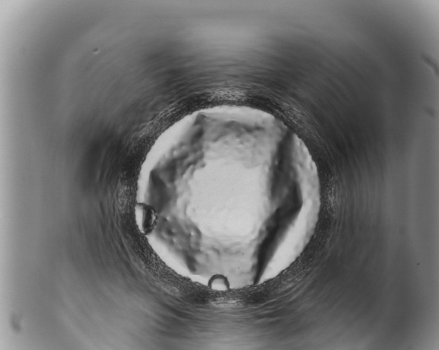 X0000100200551200806201424