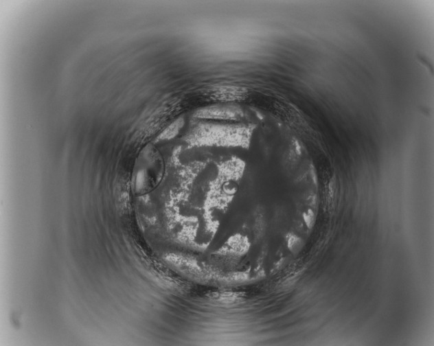 X0000100200553200806201424