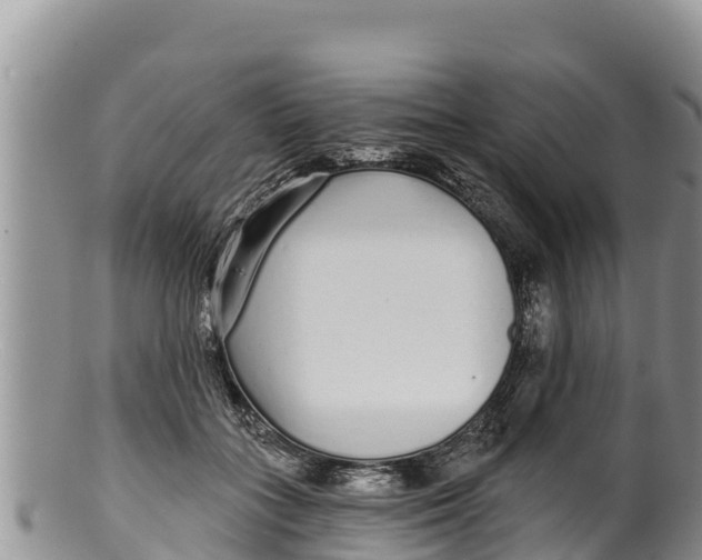 X0000100200555200806201424