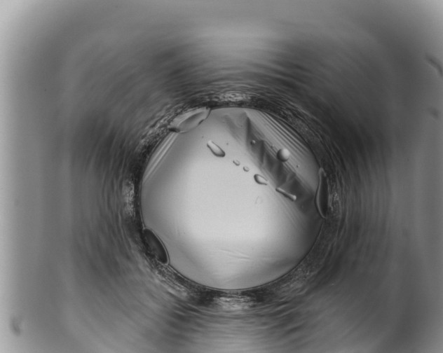 X0000100200556200806201424