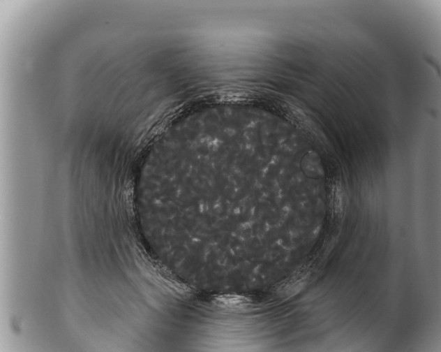 X0000100200557200806201424