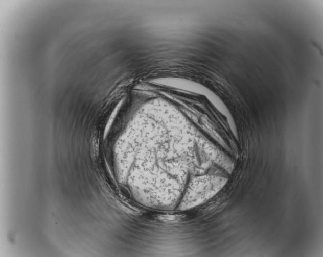 X0000100200558200806201424