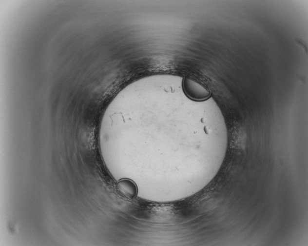 X0000100200560200806201424