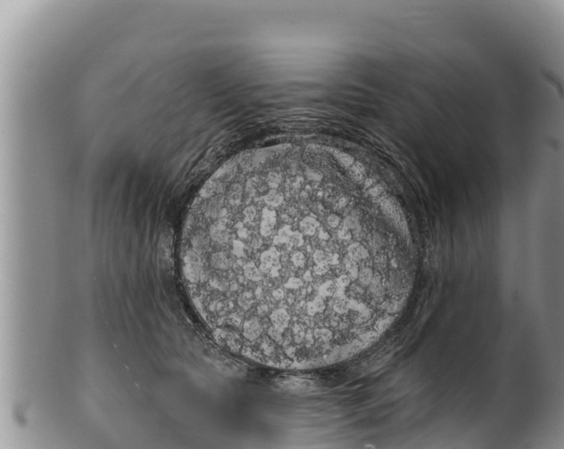 X0000100200561200806201424