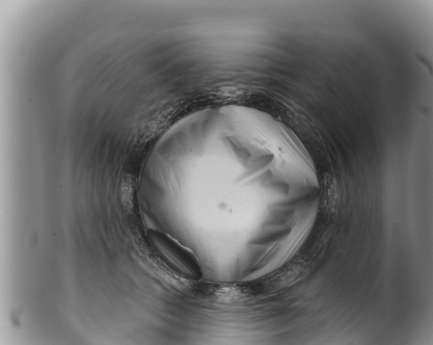 X0000100200562200806201424