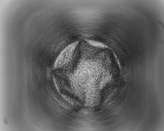 X0000100200563200806201424