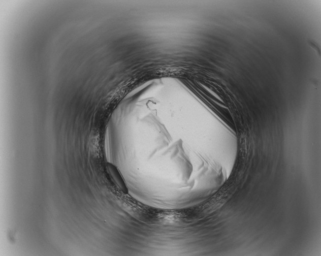 X0000100200564200806201424