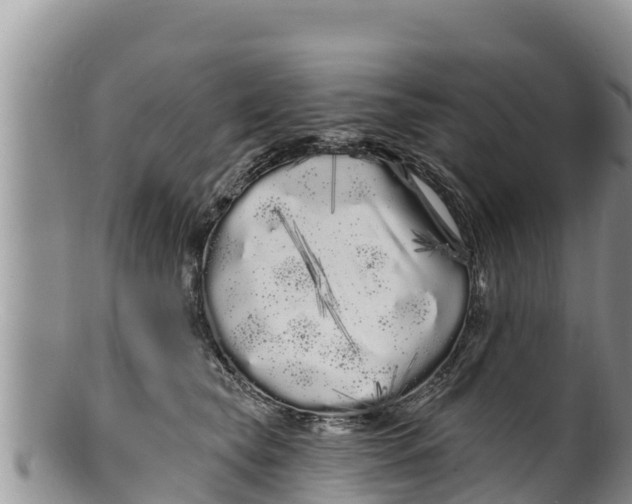 X0000100200565200806201424