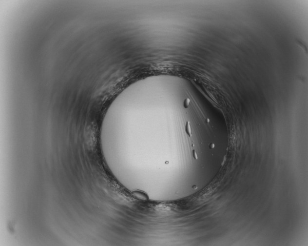 X0000100200566200806201424