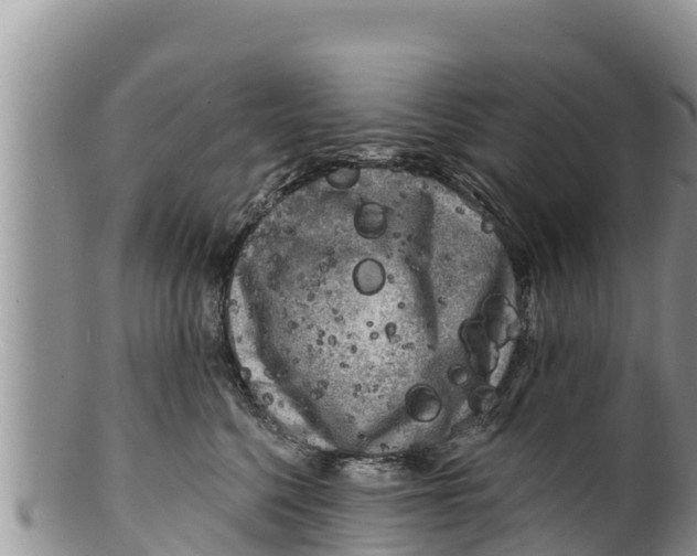 X0000100200568200806201424