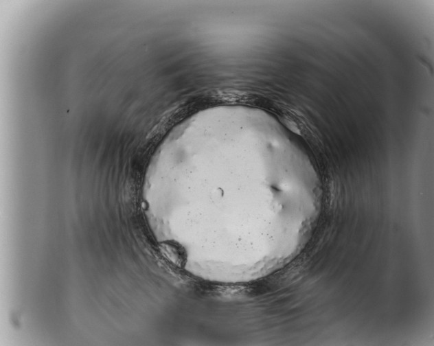 X0000100200569200806201424