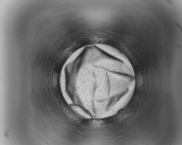 X0000100200570200806201424