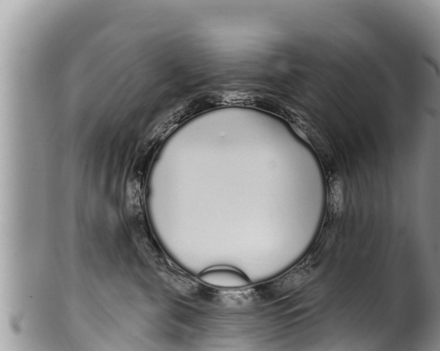 X0000100200571200806201424