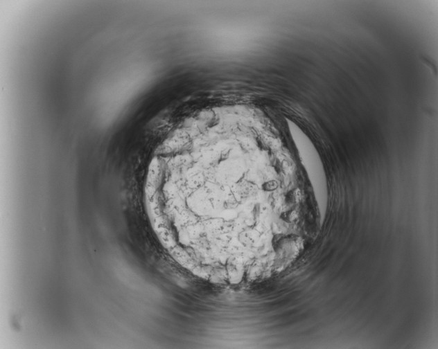 X0000100200573200806201424