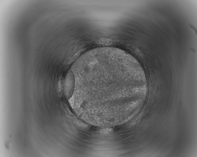 X0000100200576200806201424