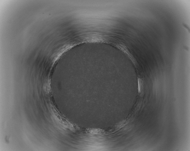 X0000100200579200806201423