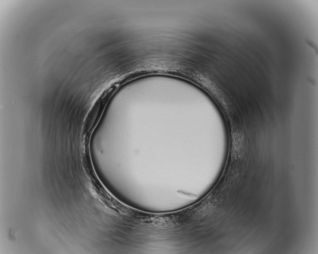 X0000100200580200806201423