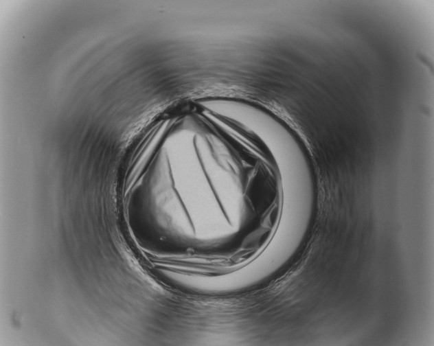 X0000100200581200806201423