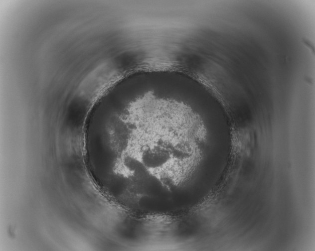 X0000100200582200806201423