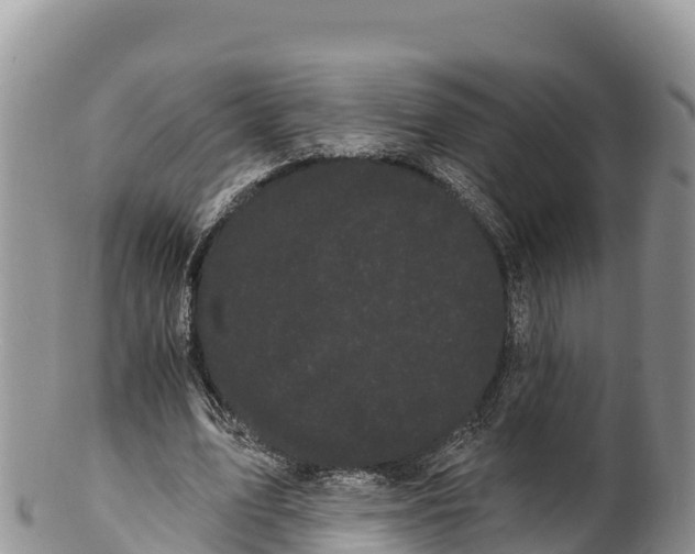 X0000100200583200806201423