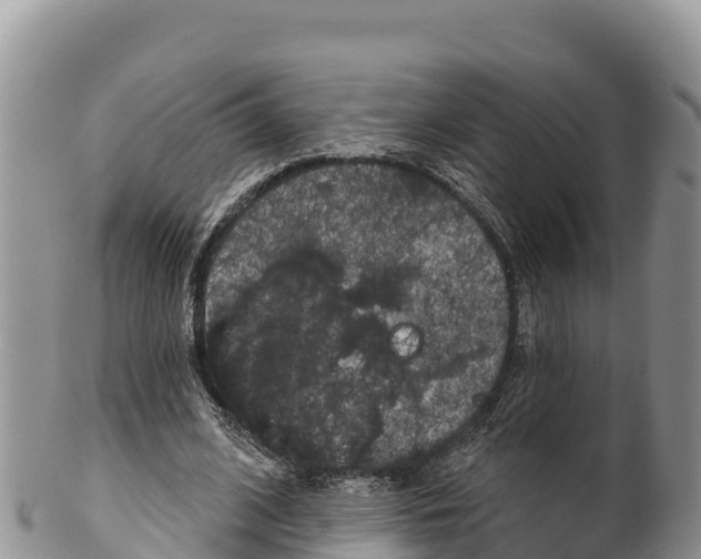 X0000100200584200806201423