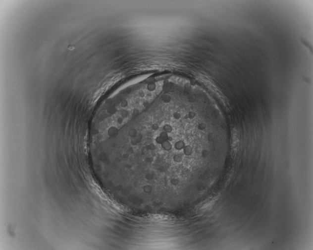 X0000100200585200806201423