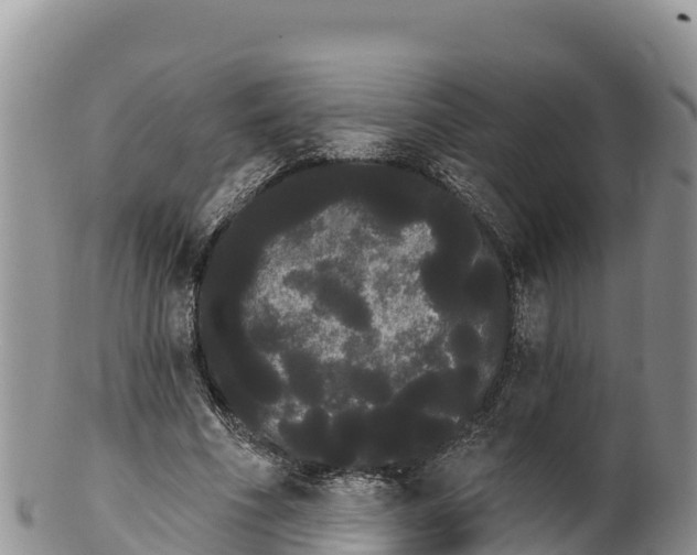 X0000100200586200806201423